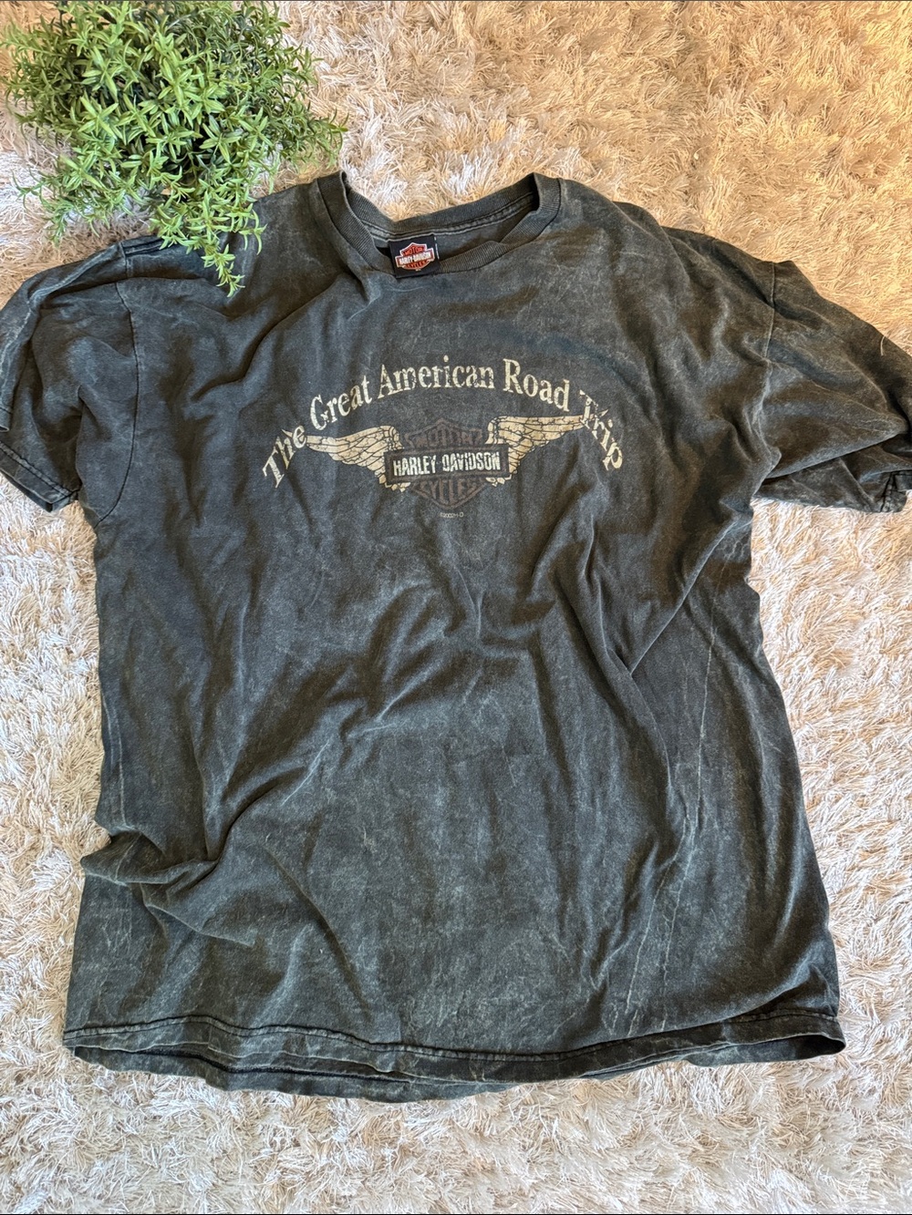 EUC Harley-Davidson Washed Short Sleeve Mineral Wash Green Graphic Tee XL